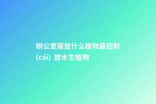 辦公室擺放什么植物最招財(cái)  放水生植物